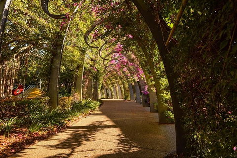 Brisbane Scavenger Hunt: Brisbane's South Bank! - Restaurant Gold Coast 3