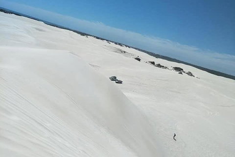 Yanchep & Lancelin - Wildlife, Cave And Sands - Restaurant Gold Coast 3