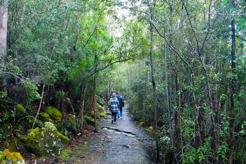 Kunanyi/Mt Wellington Tour & Hobart Hop-On Hop-Off Bus - Restaurant Gold Coast 1