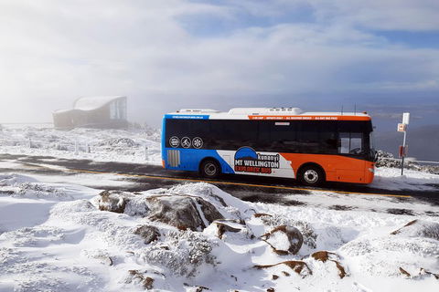Kunanyi/Mt Wellington Tour & Hobart Hop-On Hop-Off Bus - Restaurant Gold Coast 2