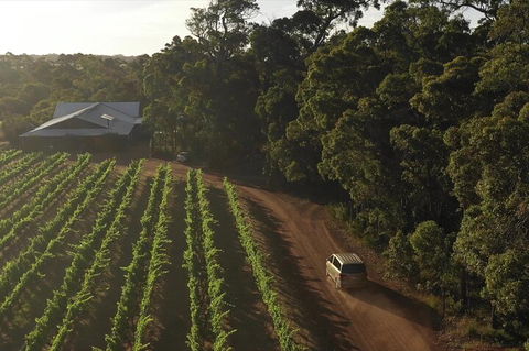 The All About Margaret River Tour: Wine, Coffee, Lunch And Forest - Restaurant Gold Coast 1