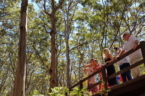 The All About Margaret River Tour: Wine, Coffee, Lunch And Forest - Restaurant Gold Coast 3
