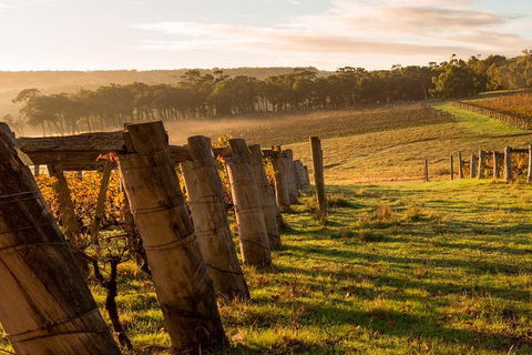 The All About Margaret River Tour: Wine, Coffee, Lunch And Forest - Restaurant Gold Coast 5