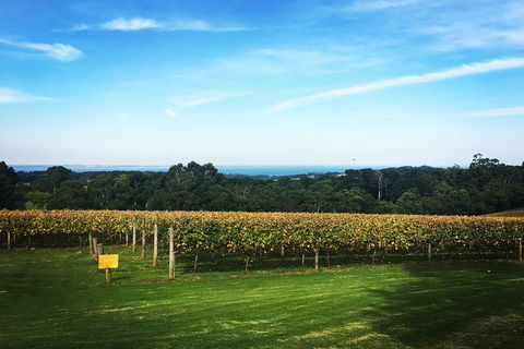 Yarra Valley Private Car Winery Tour And Chocolate.1-7 Passengers One Car Price - Restaurant Gold Coast 0