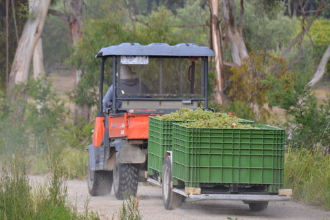 Yarra Valley Private Car Winery Tour And Chocolate.1-7 Passengers One Car Price - Restaurant Gold Coast 1