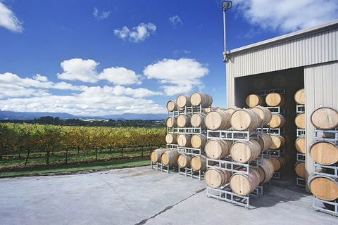 Yarra Valley Private Car Winery Tour And Chocolate.1-7 Passengers One Car Price - Restaurant Gold Coast 2