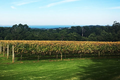 Yarra Valley Wine Tour Inc Lunch With A Glass Of Wine, Tastings And Chocolate - Restaurant Gold Coast 2