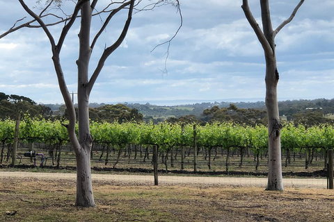Yarra Valley Wine Tour Inc Lunch With A Glass Of Wine, Tastings And Chocolate - Restaurant Gold Coast 3