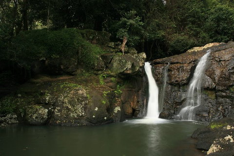 Hinterland Magic & Glow-worm Experience - Restaurant Gold Coast 2