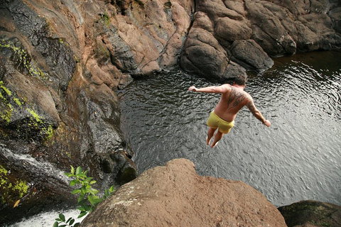 Hinterland Magic & Glow-worm Experience - Restaurant Gold Coast 3