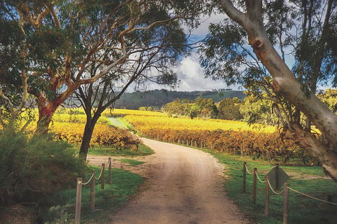 McLaren Vale Winery Small Group Tour With Wine Tasting And Lunch - Restaurant Gold Coast 1
