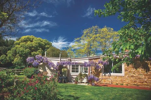 McLaren Vale Winery Small Group Tour With Wine Tasting And Lunch - Restaurant Gold Coast 2