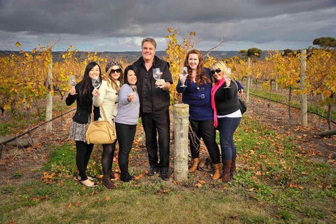 McLaren Vale Winery Small Group Tour With Wine Tasting And Lunch - Restaurant Gold Coast 3