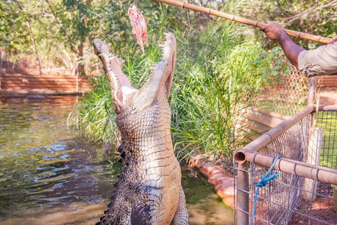 Malcolm Douglas Crocodile Park Tour Including Transportation - Restaurant Gold Coast 5
