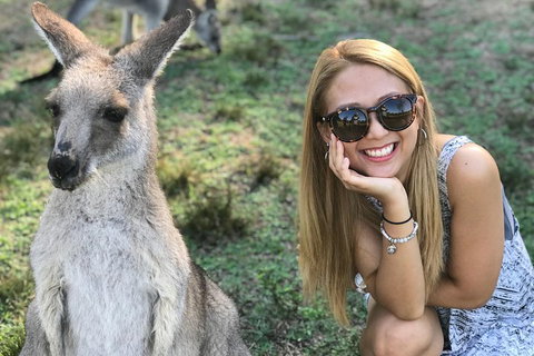 PJ Blue Mountains Supreme Day Tour - Restaurant Gold Coast 2