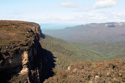 Blue Mountains - Restaurant Gold Coast 4