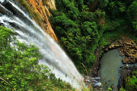 Natural Arch, Rainforest & Volcano Canyon - Private Half Day Tour - Restaurant Gold Coast 5