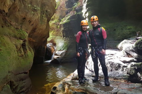 Blue Mountains Empress Canyon Adventure From Wentworth Falls - Restaurant Gold Coast 0