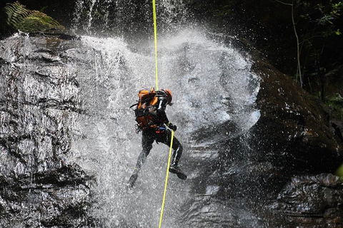 Blue Mountains Empress Canyon Adventure From Wentworth Falls - Restaurant Gold Coast 3