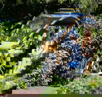 Adelaide 90-Minute Pedicab Tour Scenic Green  River Experience - Restaurant Gold Coast