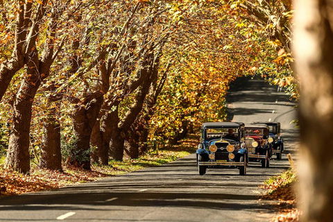 Blue Mountains Vintage Cadillac Tour With Local Guide - Restaurant Gold Coast 1