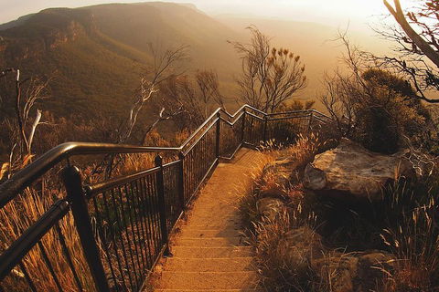Blue Mountains Vintage Cadillac Tour With Local Guide - Restaurant Gold Coast 3