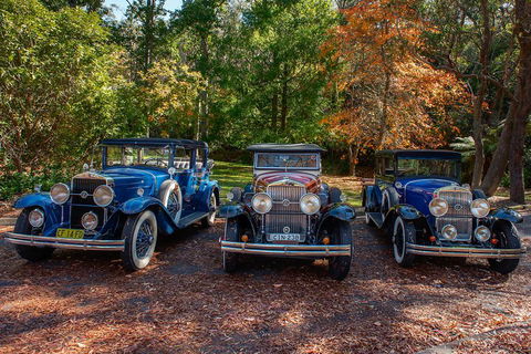 Blue Mountains Vintage Cadillac Tour With Local Guide - Restaurant Gold Coast 4