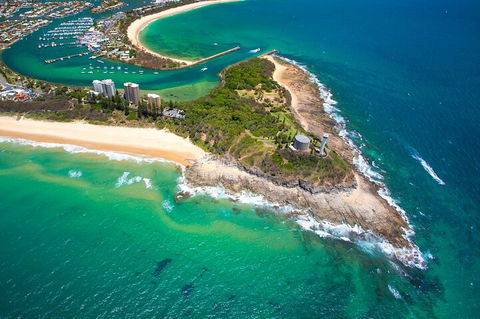 1.5HR Mudjimba Island Wildlife Safari - Restaurant Gold Coast 5