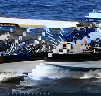 Mooloolaba Whale Watching Tour - Restaurant Gold Coast