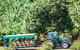 Tropical Fruit World With Wildlife Boat Cruise From Gold Coast - thumb 1