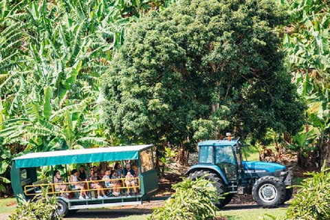Tropical Fruit World With Wildlife Boat Cruise From Gold Coast - Restaurant Gold Coast 1