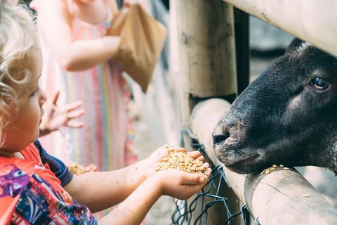 Tropical Fruit World With Wildlife Boat Cruise From Gold Coast - Restaurant Gold Coast 5