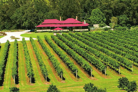 O'Reilly's & Lamington National Park From Brisbane - Restaurant Gold Coast 2