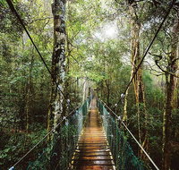 O'Reilly's  Lamington National Park from Gold Coast - Restaurant Gold Coast