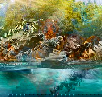 Croc Express to Australia Zoo from Brisbane - Restaurant Gold Coast