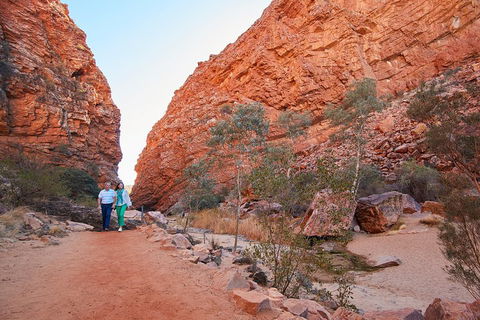 Best Of Alice Springs Full Day Tour - Restaurant Gold Coast 1