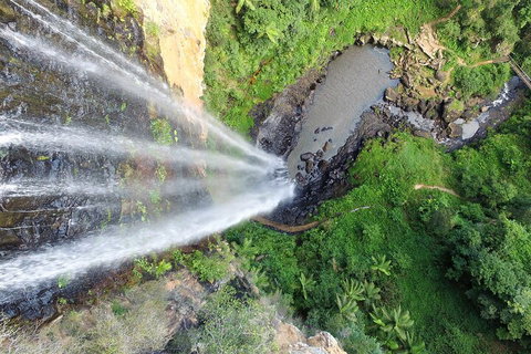 Natural Bridge & Springbrook Waterfalls Tour + Hot Air Balloon With Breakfast - Restaurant Gold Coast 1