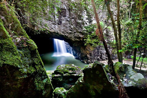 Natural Bridge & Springbrook Waterfalls Tour + Hot Air Balloon With Breakfast - Restaurant Gold Coast 4