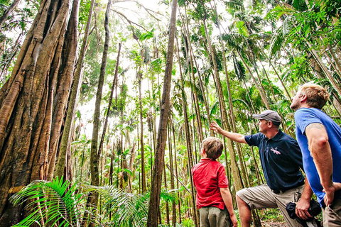 Natural Bridge & Springbrook Waterfalls Tour + Hot Air Balloon With Breakfast - Restaurant Gold Coast 5