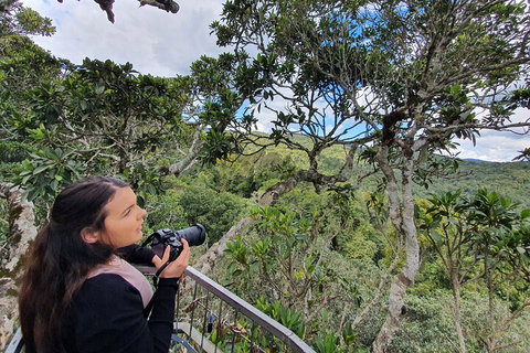 Lamington National Park, O'Reilly's & Vineyard Tour - Restaurant Gold Coast 1