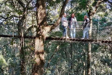 Lamington National Park, O'Reilly's & Vineyard Tour - Restaurant Gold Coast 2