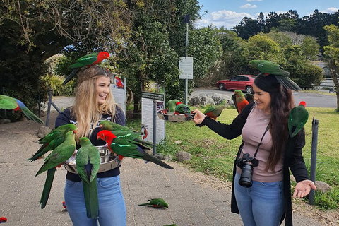 Lamington National Park, O'Reilly's & Vineyard Tour - Restaurant Gold Coast 5