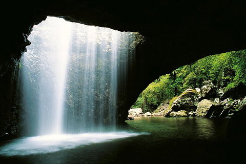 Natural Bridge & Springbrook Waterfalls Tour - Restaurant Gold Coast 0