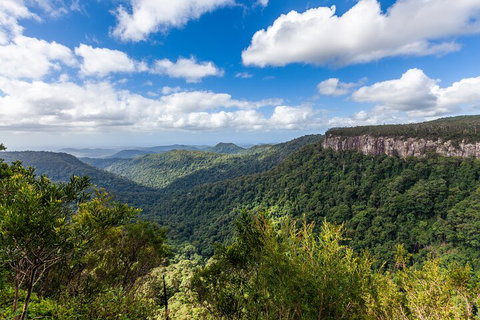 Natural Bridge & Springbrook Waterfalls Tour - Restaurant Gold Coast 1