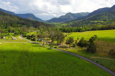 Natural Bridge & Springbrook Waterfalls Tour - Restaurant Gold Coast 2