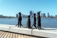 Perth by Bike Private Tour with a Local