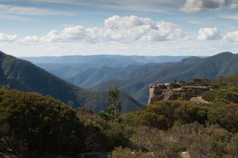 Inside The Greater Blue Mountains World Heritage - A Private Wildlife Safari Overnight - Restaurant Gold Coast 5