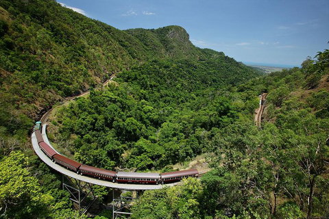 Skyrail Rainforest Cableway Day Trip From Cairns - Restaurant Gold Coast 5