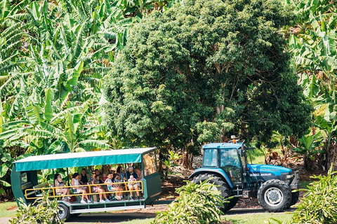 Northern Rivers Full Day Wine Tour - Restaurant Gold Coast 1