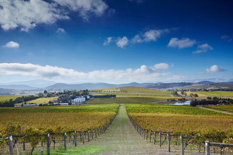 Yarra Valley Wine And Wildlife Self-Driving Tour - Restaurant Gold Coast 1